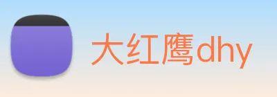 大红鹰dhy logo